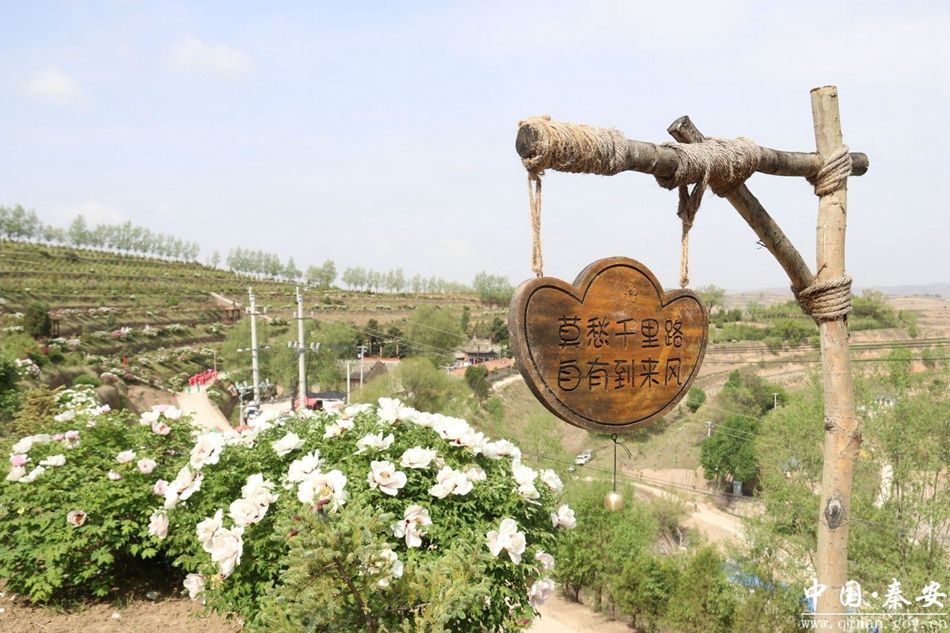 秦安王铺镇茆苑 牡丹开出“花经济”，文旅融合促振兴