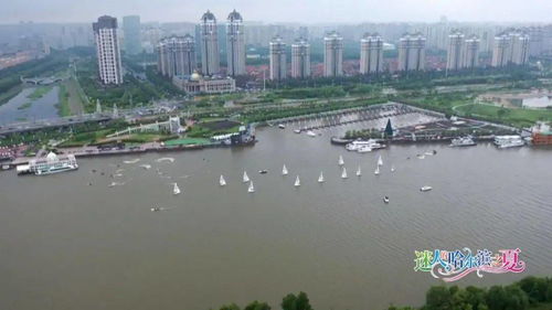 2021迷人的哈尔滨之夏文化旅游活动暨湿地节盛大启幕，文化艺术交流点亮北国水韵