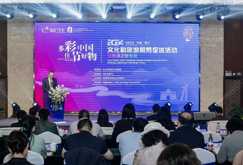 多彩中国 佳节好物 银川文化和旅游贸易促进活动舞台上的文化共振